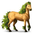 rijpaard andalusiër bruin
