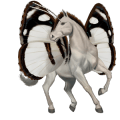 rijpaard-pegasus lusitano cremello