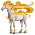 wind paard euronotus