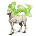 wind paard eurus