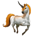 goddelijk paard kicsi