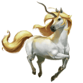 goddelijk paard piccolo
