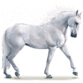 water paard snowflake