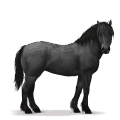 prehistorisch paard bospaard