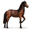 wild paard garrano