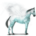 water paard geiser