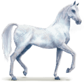 water paard frost