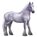 goddelijk paard greyfell   3