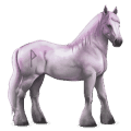 goddelijk paard greyfell   5