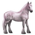 goddelijk paard greyfell   6