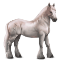 goddelijk paard greyfell   7