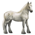 goddelijk paard greyfell   8