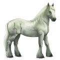 goddelijk paard greyfell   9