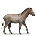 prehistorisch paard hippidion
