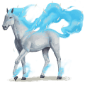 wind paard iapyx