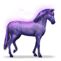 paard van de regenboog devoted indigo