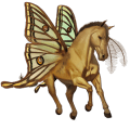pony welsh wildkleur