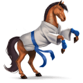 goddelijk paard karate