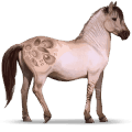 wild paard konik