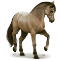 wild paard lavradeiro