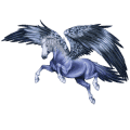 vogel dwalend paard melopsis