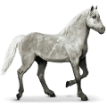 zonnestelsel paard mercurius