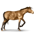 wild paard misaki