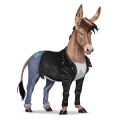 dwalend paard musical