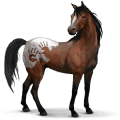 wild paard spaanse mustang