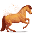 paard van de regenboog cool carrot