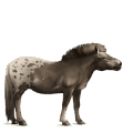 gevleugelde rijpaard-eenhoorn zweetvos kastanje 