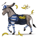 dwalend paard bananenschil