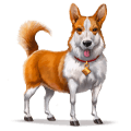 wild paard welsh corgi