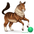 wild paard maine coon