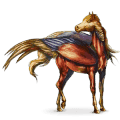 vogel dwalend paard phasia