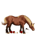 pony-eenhoorn highland pony zwart