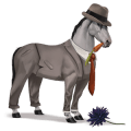 dwalend paard misdaad