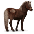 wild paard sable island pony