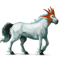 pony shetlander bruin