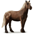wild paard pottok