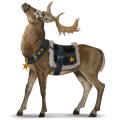 goddelijk paard prancer