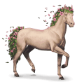 seizoenen paard lente