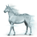 water paard dauw