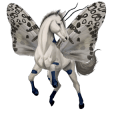 pony kastanje