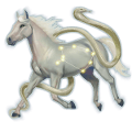 dierenriempaard serpentarius