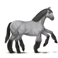 grijs sleipnir