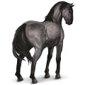 wild paard sorraia