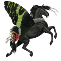 dwalend paard adriandolo