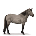 prehistorisch paard tarpan