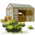 pony shetlander roodbruin